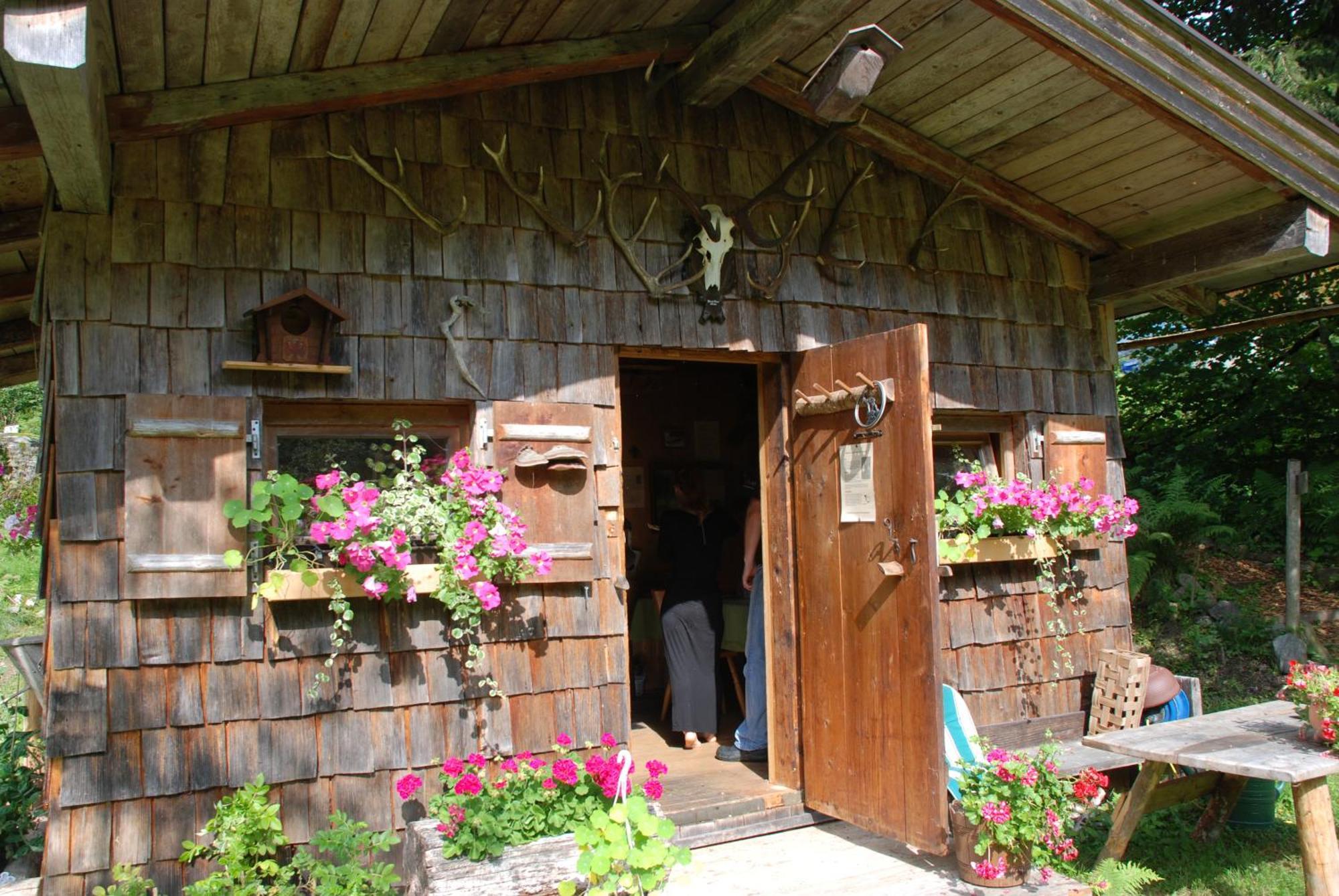 Gasthaus Steinberg Westendorf Ngoại thất bức ảnh